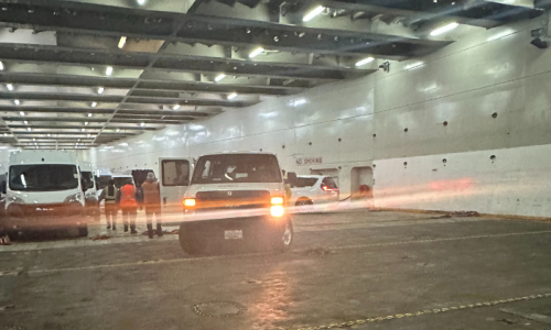 Baltimore Stevedore (2)